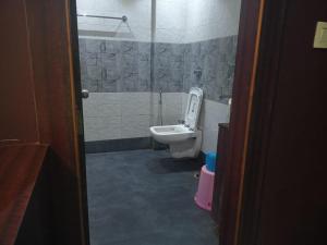 a bathroom with a toilet and a sink at The Brahmaputra Hotel in Dhuburi