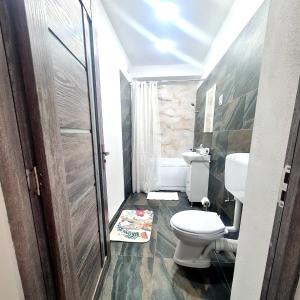 a bathroom with a toilet and a sink at Mural Art Apartament in Petroşani