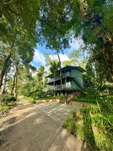 une maison verte au milieu d'une route dans l'établissement Machaan Wilderness Lodge Nagarahole, à Srimangala