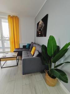 ein Wohnzimmer mit einem Sofa und einer Pflanze in der Unterkunft Przytulne mieszkanie przy Kanale Żerańskim in Warschau
