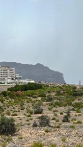 un campo de arbustos con un edificio en el fondo en بيوت الخزام, en Salmah