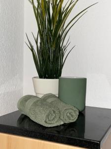 a black counter with towels and a plant on it at 2-Zimmer Ferienwohnung an ruhiger Lage in Triesenberg