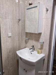 ein Bad mit einem Waschbecken und einer Dusche mit einem Spiegel in der Unterkunft Деспина in Baltschik
