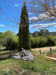 un gran árbol y flores en un jardín en Can Catrol en Santa Cristina de Aro