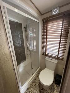 a bathroom with a toilet and a glass shower at Hafan y Môr Holiday Park in Pwllheli