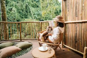 Επισκέπτες που μένουν στο Treehouse de Valentine