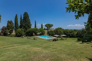 ein großes Grasfeld mit Pool und Bäumen in der Unterkunft Agriturismo Spazzavento in Palazzone
