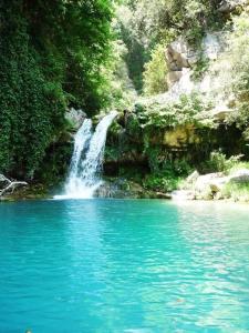 Billede fra billedgalleriet på Villa Provençale à Vence i Vence