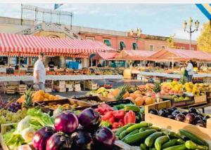 Billede fra billedgalleriet på Villa Provençale à Vence i Vence