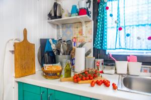 eine Küche mit einer Theke mit Tomaten und einer Spüle in der Unterkunft Boho House 1 in camp Terme Catez in Čatež ob Savi