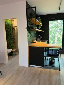 una cucina con lavandino e bancone con piante di Apartament 3 camere Vila Cristal a Neptun