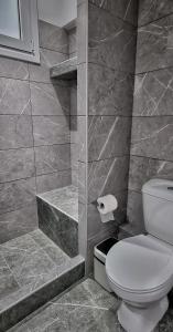 a bathroom with a toilet and a walk in shower at Mimarxos Luxury Apartments in Chalkida