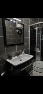 a bathroom with a sink and a mirror and a shower at 101 Studio en plein cœur historique de Bourges in Bourges