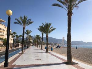 un marciapiede con palme su una spiaggia di Sunylife a Albir