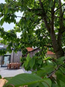Aed väljaspool majutusasutust Maison Patisson