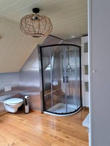 a bathroom with a shower and a toilet at Maison Patisson in Kasterlee