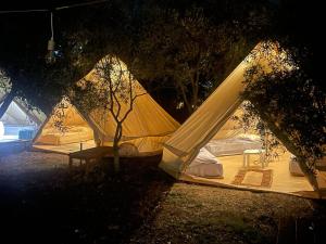 Un par de tiendas de campaña en un campo por la noche en Garden Lake Camping, en Ksamil