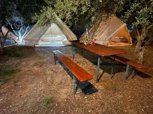 stół piknikowy z namiotem i ławką w obiekcie Garden Lake Camping w mieście Ksamil