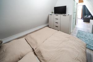 1 dormitorio con cama y vestidor con TV en Volenter Lux Duna Spa, en Baja