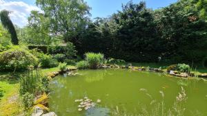 Paesaggio naturale nelle vicinanze dell'affittacamere