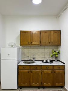 a kitchen with a sink and a white refrigerator at Green Apartment in Strumica