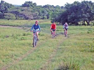 Drei Leute reiten Fahrrad auf einem Grasfeld in der Unterkunft Mara Siria Tented Camp & Cottages in Aitong