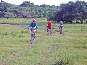 three people riding bikes down a grassy field at Mara Siria Tented Camp & Cottages in Aitong