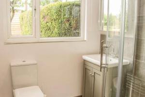 a bathroom with a toilet and a sink and a window at Edge View Cottage in Church Stretton
