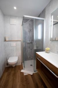 La salle de bains est pourvue d'une douche, de toilettes et d'un lavabo. dans l'établissement Sporthotel Dachstein West, à Annaberg-Lungötz