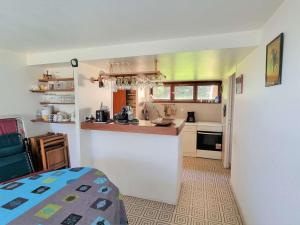 uma pequena cozinha com um balcão e um frigorífico em Chalet Saint-Michel-de-Chaillol, 6 pièces, 10 personnes - FR-1-393-38 em Saint-Michel-de-Chaillol