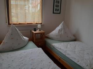 a room with two beds with pillows and a window at Ferienwohnung Minna Herzlieb in Görlitz