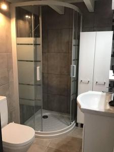 a bathroom with a shower and a toilet and a sink at Golfe de Sagone Plage du Liamone Maison pieds dans l'eau in Casaglione