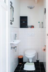 een badkamer met een toilet en een wastafel bij Bed and breakfast Jan in Edam