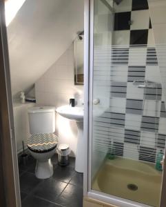 a bathroom with a toilet and a sink and a shower at Honfleur : Appartement de charme. in Honfleur