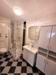 ヴィンターベルクにあるWinterberg Appartement 21068のバスルーム(シャワー、洗面台、トイレ付)