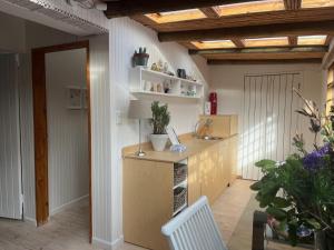 a kitchen with a counter and a white chair in a room at Treetops Cottage in Cape Town +12 photos