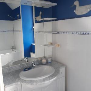 a bathroom with a sink and a mirror at Les gîtes de Tréguennec in Tréguennec +59 photos
