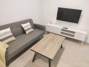 a living room with a couch and a tv at Txoko Loft Moncayo in Tudela