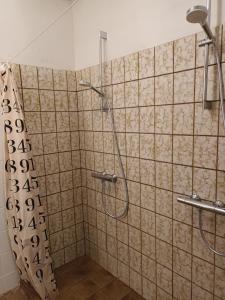 een douche in een badkamer met een betegelde muur bij Sigerslevhus Stevns Klint in Store Heddinge