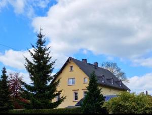 Una casa amarilla con un árbol delante. en Ferienwohnung Haus Sonnenblick en Burkhardtsdorf