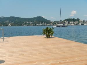 a wooden dock with a plant on the water at Echo am See in Gmunden