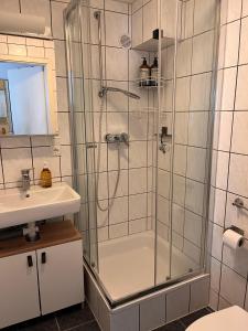een badkamer met een douche en een wastafel bij Julia's Mosel Villa Appartement NICOLAS in Traben-Trarbach