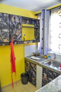 uma cozinha com um lavatório e uma bancada em Four seventy em Meru