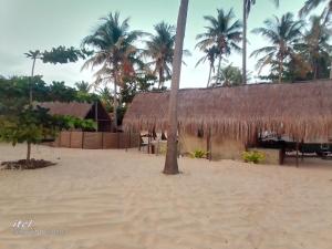 una cabaña con techo de paja en una playa en Barra Dica - CAMPING, en Inhambane