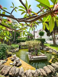 un laghetto in un giardino con rocce e alberi di Apartment 219 - Amarilla Golf a San Miguel de Abona