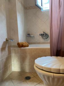 a bathroom with a toilet and a bath tub at Roula apartment in Nei Poroi