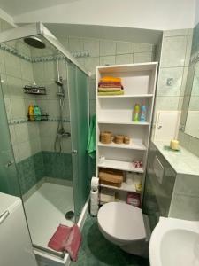 a bathroom with a shower and a toilet and a sink at Mieszkanie w centrum Giżycka in Giżycko