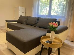 Posedenie v ubytovaní Tulipán Apartman