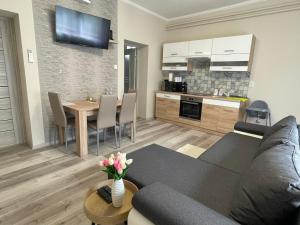 Kuchyň nebo kuchyňský kout v ubytování Tulipán Apartman