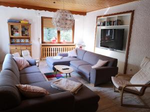 uma sala de estar com um sofá e uma televisão em Ferienhaus Anjofina Ferienwohnung Sasse em Altenau